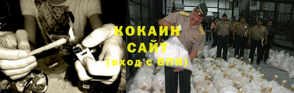 шишки Балахна