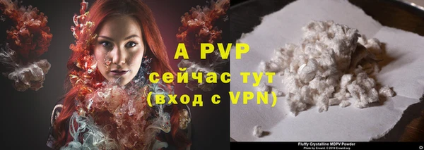 шишки Балахна