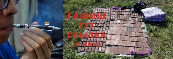 шишки Балахна