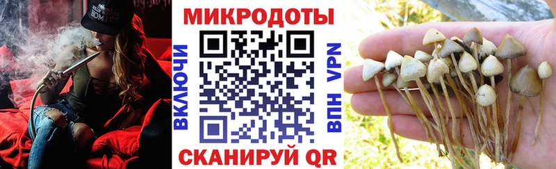 закладка  Тында  Галлюциногенные грибы Psilocybine cubensis 