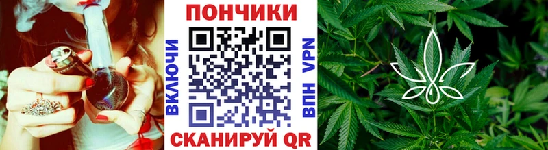 Шишки марихуана OG Kush  Тында 